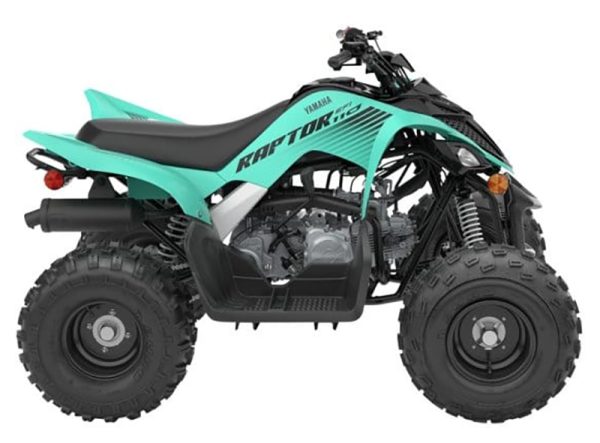 2025 Yamaha Raptor 110 for Sale